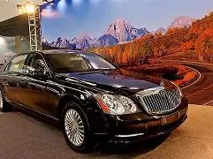 产品购买赠,发光蠕虫,宠物,盛世娱乐,盛世娱乐官网