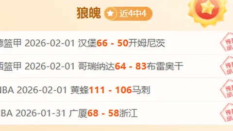 大乐透期号专家推荐：伤病潮中灰熊主场分析